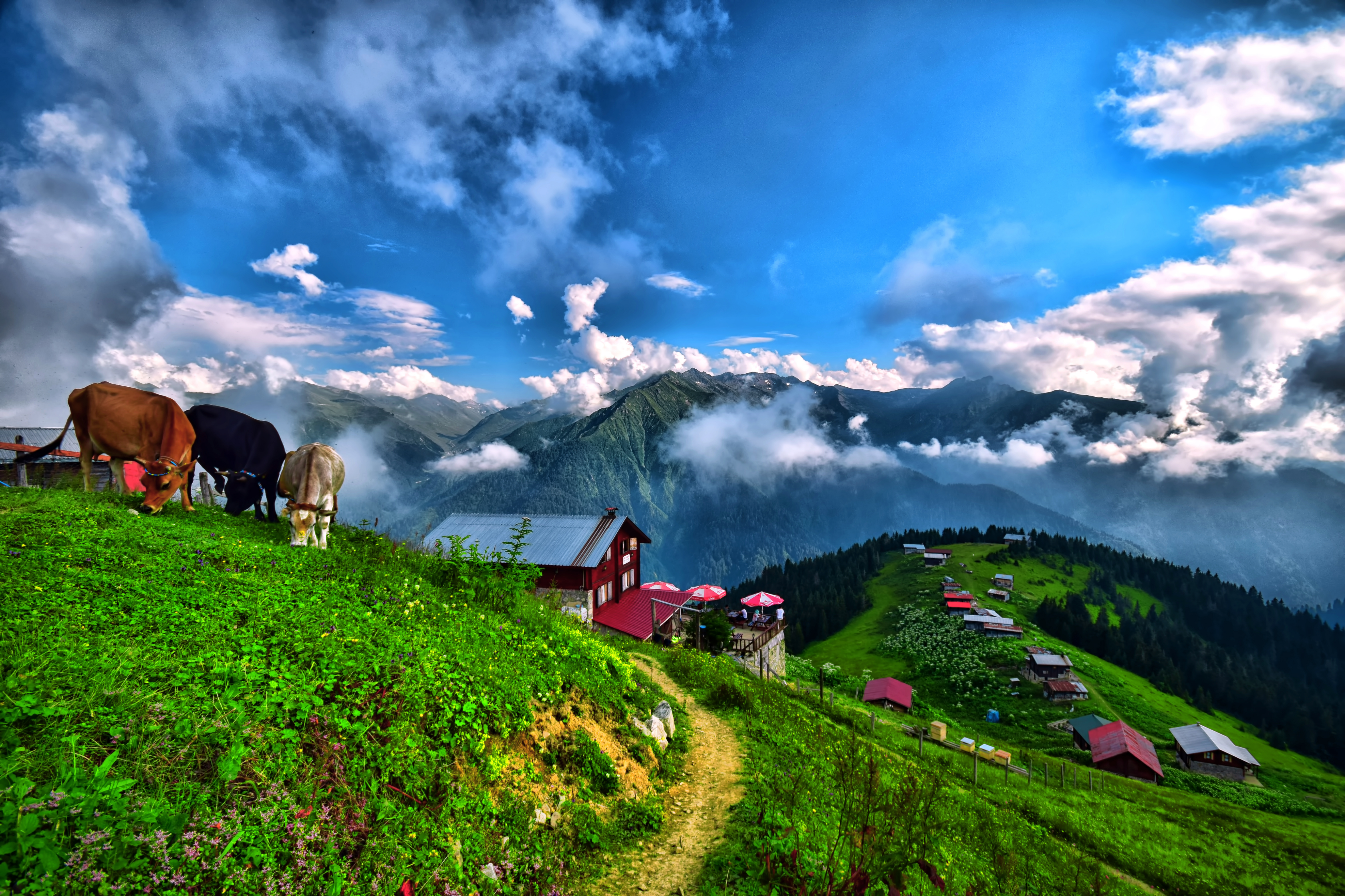 Karadeniz Turu: Doğanın ve Tarihin İç İçe Olduğu Eşsiz Bir Yolculuk