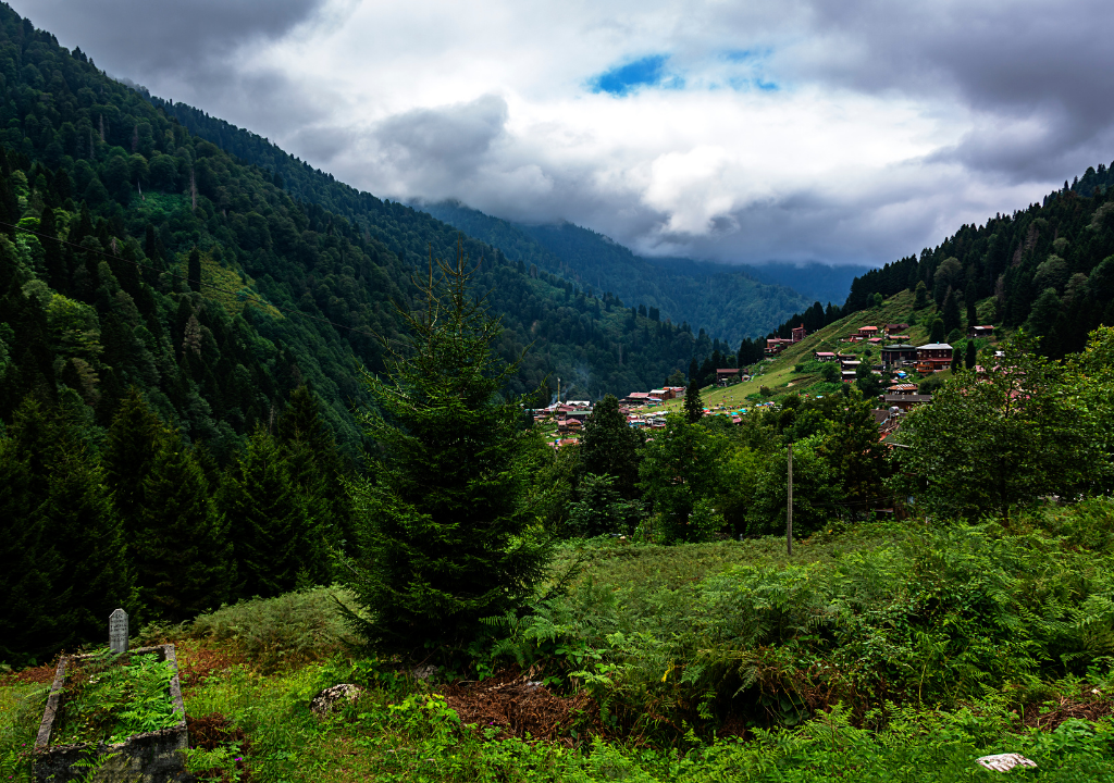 Uzungöl'den Pokut'a: Karadeniz Yaylalarının Masal Gibi Yüzü