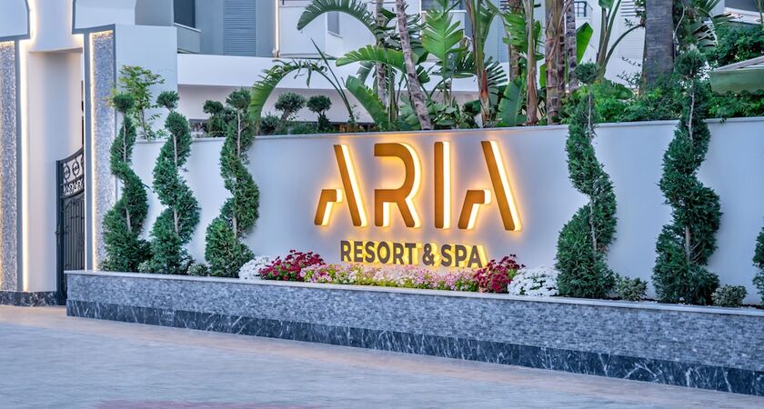 ARIA RESORT