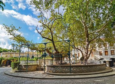 BODRUM ÇIKIŞLI KURBAN BAYRAMI ÖZEL KOS TURU 3 GECE 4 GÜN 