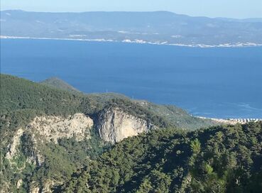 KURBAN BAYRAMINA ÖZEL KAZDAĞLARI  CUNDA TURU