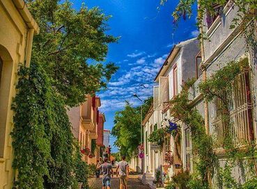 KURBAN BAYRAMINA ÖZEL KAZDAĞLARI  CUNDA TURU