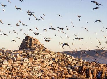 30 AĞUSTOS'A ÖZEL KAPADOKYA TURU