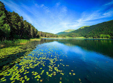 GÜNÜBİRLİK ABANT GÖLCÜK GÖYNÜK TURU