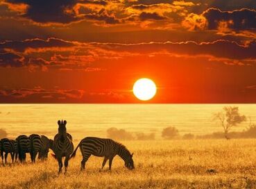 Güney Afrika Turu - QR - 8 Gece 10 Gün