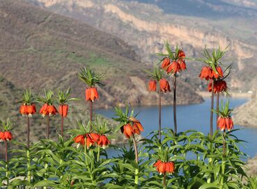 MEDENİYETLER'İN GİZLİ HAZİNESİ DOĞU’NUN MUHTEŞEM BİR ROTA  MUŞ -BİTLİS - VAN- HAKKARİ -ŞIRNAK- CİZRE  - BATMAN- KURTALAN TURU 