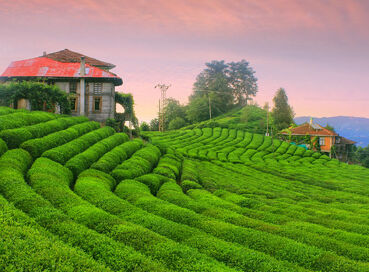 ERKEN REZERVASYON FIRSATI DOĞU KARADENİZ TURU (4 Gece Konaklamalı)